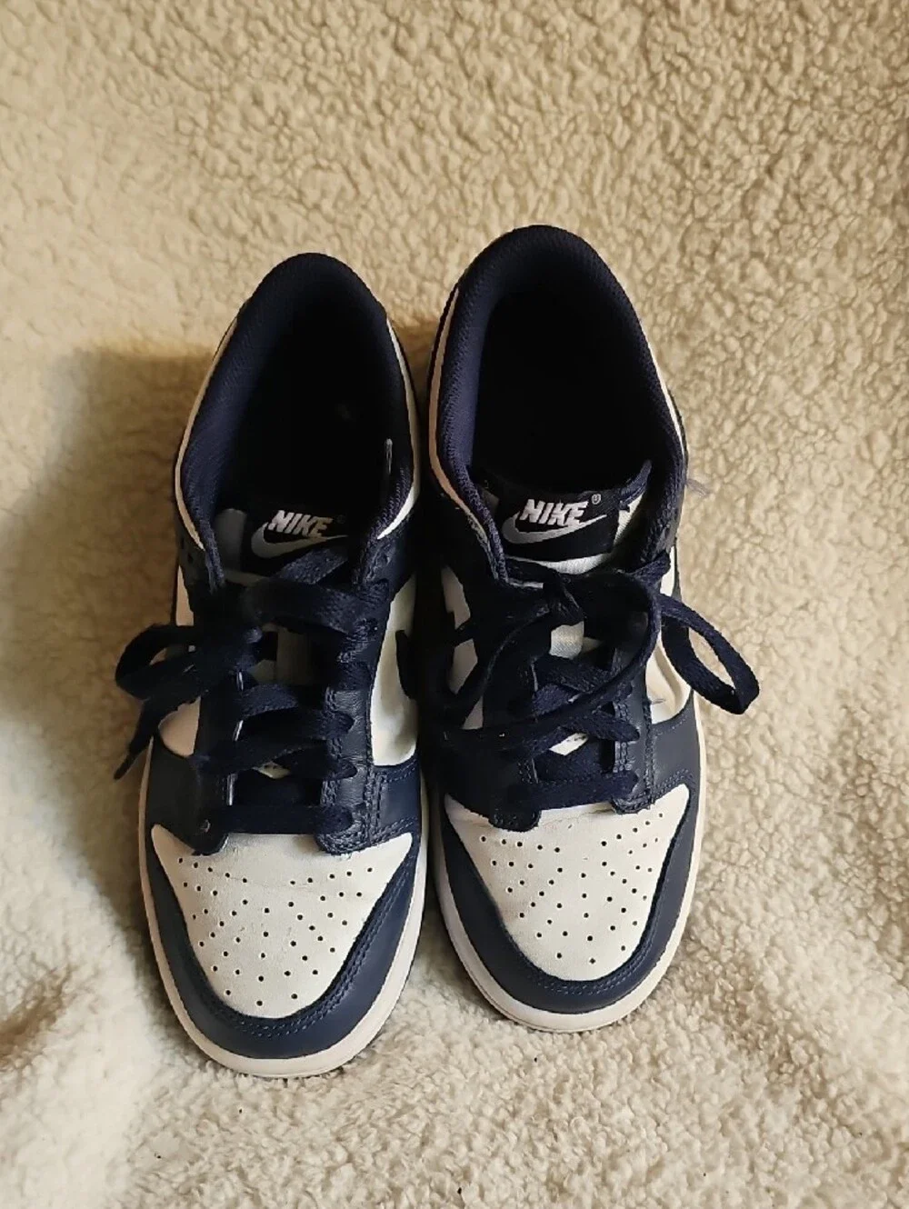 Nike Navy Blue Mesh Athletic Shoe